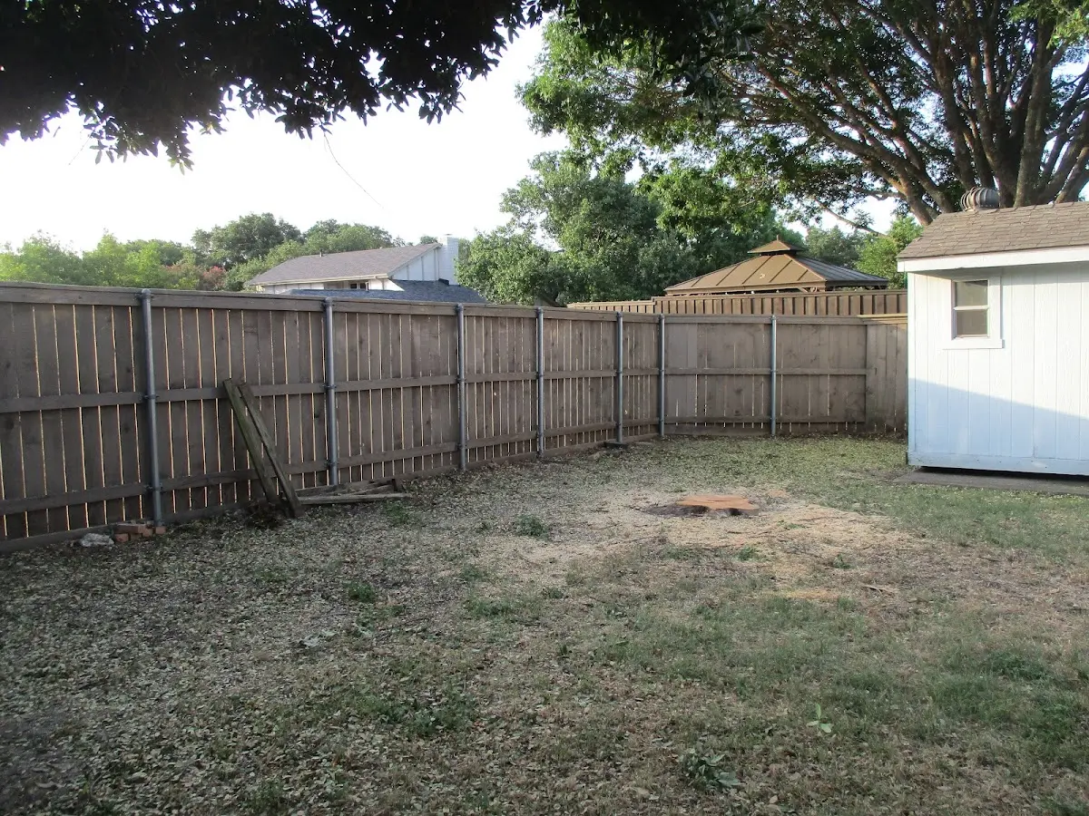 Cleared yard after professional tree removal in North Judson