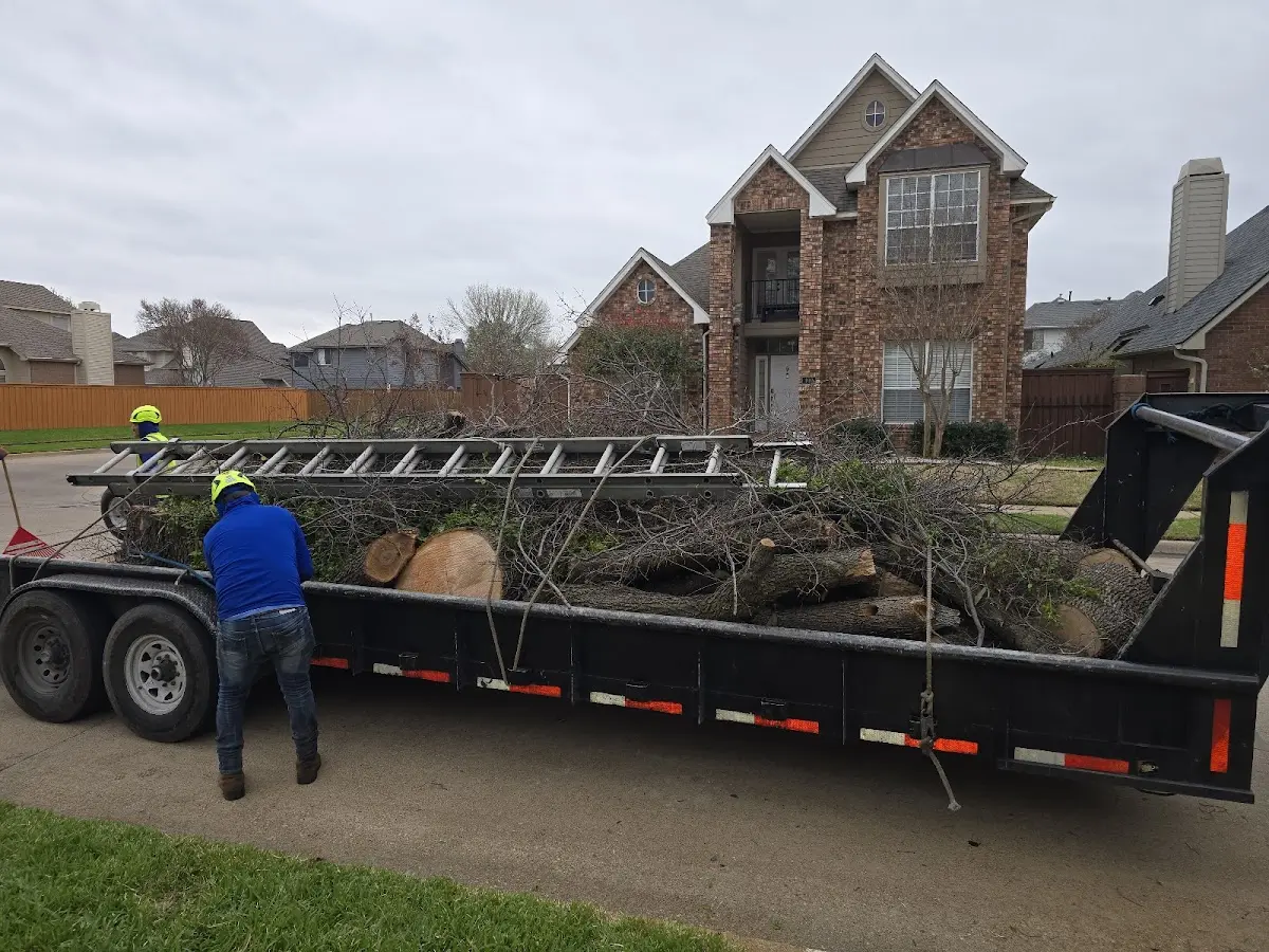 Expert Tree Removal with proper safety equipment in North Judson